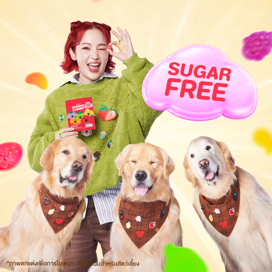 JOOMMY GUMMY BY JAPAN AND FRIENDS
